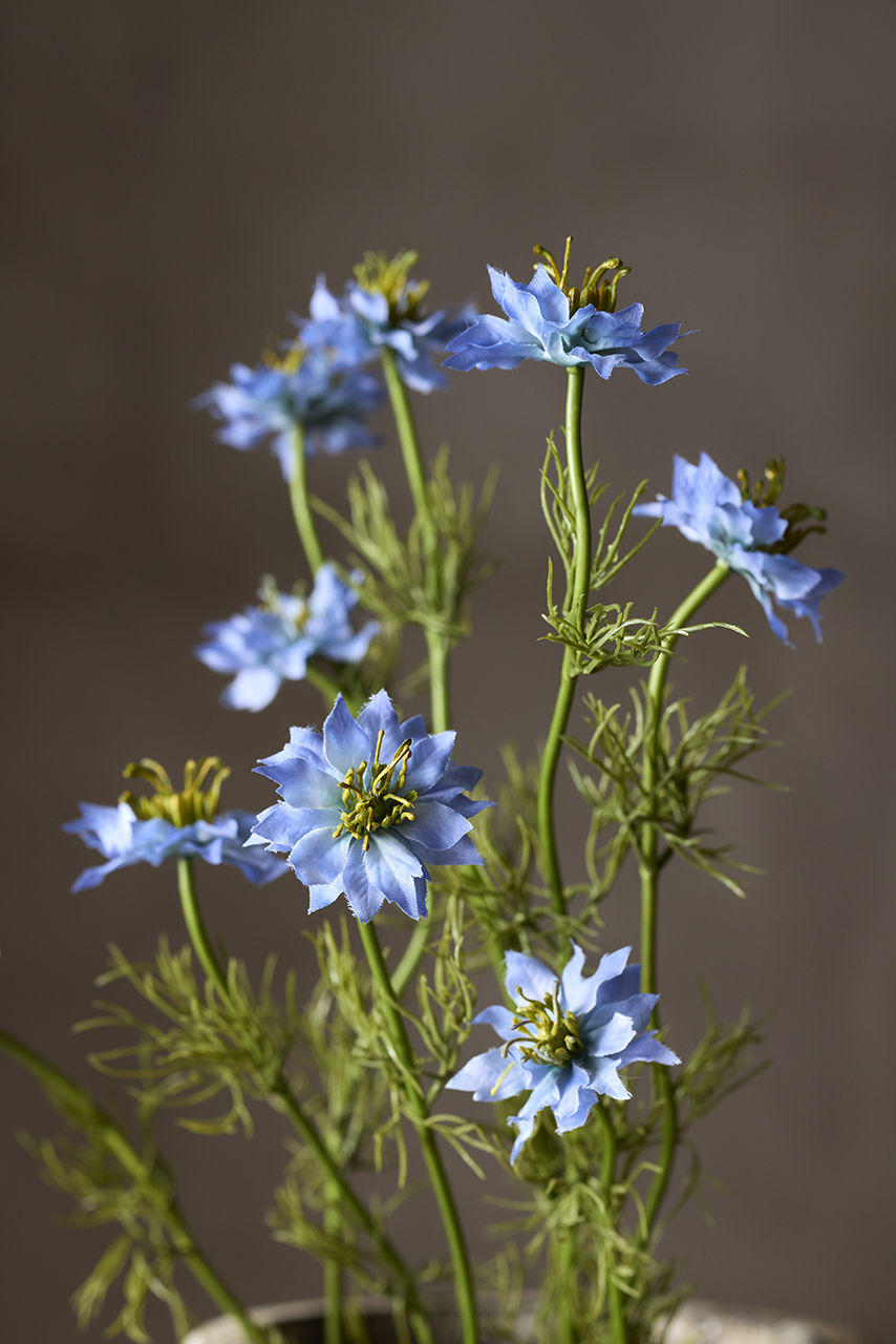 /images/imagebankSeasons/small/Mr Plant SS 2024/1092-60.jpg